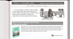 Desktop Screenshot of plcascales.com